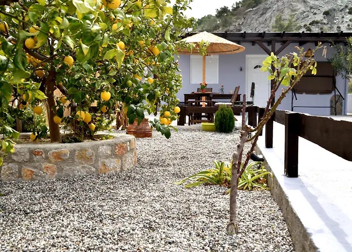 Plumeria House Villa *