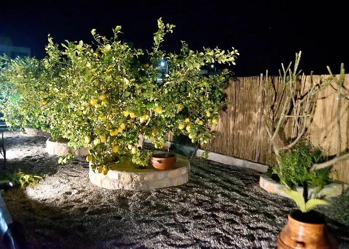 Plumeria House *
