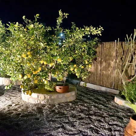 Plumeria House *