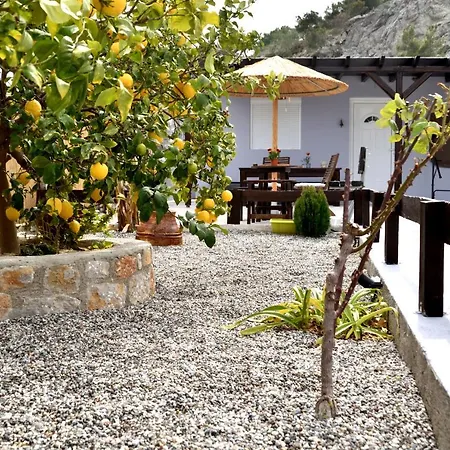 Plumeria House Villa *